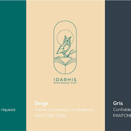 Diseño identidad visual corporativa logotipo Idarhis